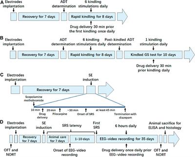 Anti-Epileptic Effect of Crocin on Experimental Temporal Lobe Epilepsy in Mice